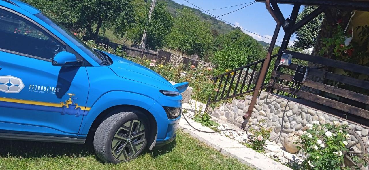 Pensiunea Gradinarilor Cu Ciubar Si Statie De Incarcare Electrica Auto Comanesti  外观 照片